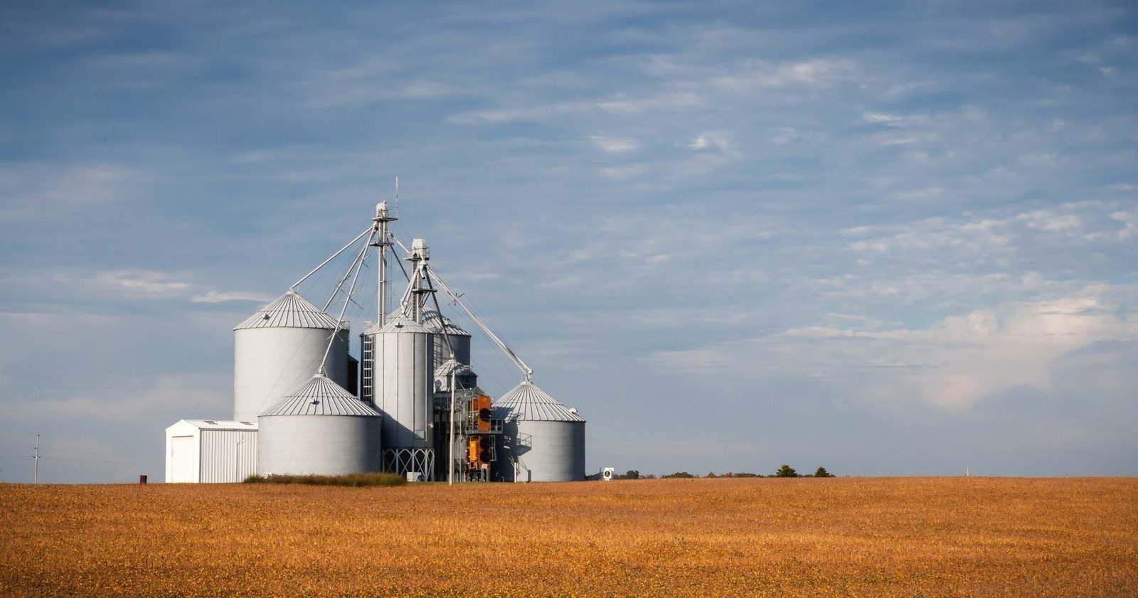 A cluster of grain bins and a leg standing over a harvested field