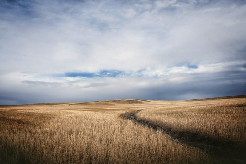 A worn path through golden prairie grass under a wide sky