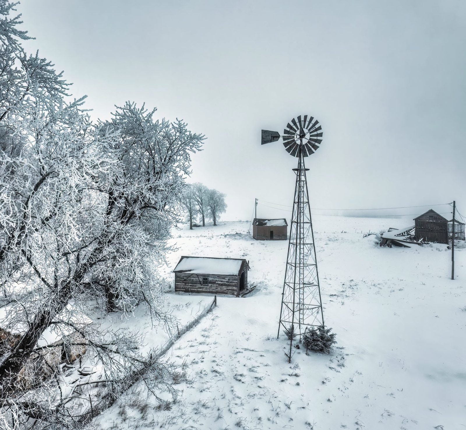 A windmill and outbuildings among frosted trees on a white plain