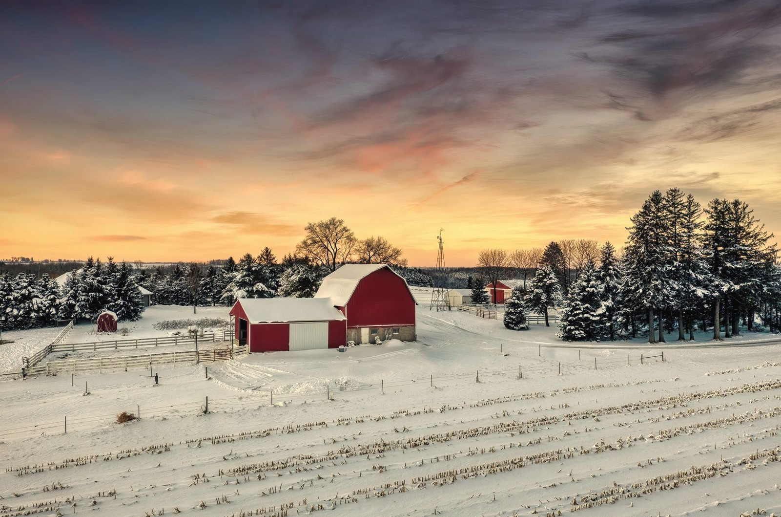 A farmstead with a red barn and shelterbelt under a winter sunset, snow across the fields